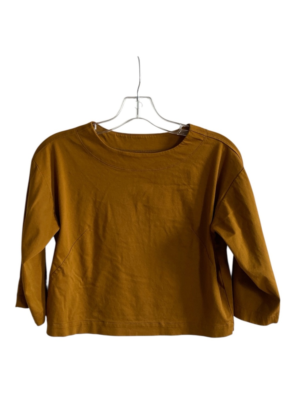 Everlane XS Retro Boat Neck Boxy Cropped Relaxed Structuralism Long-Sleeve Top
